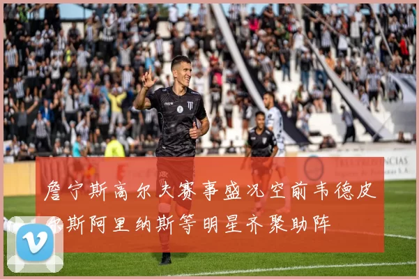 詹宁斯高尔夫赛事盛况空前韦德皮尔斯阿里纳斯等明星齐聚助阵