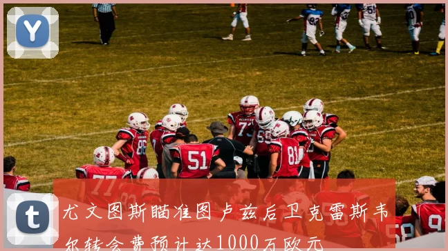 尤文图斯瞄准图卢兹后卫克雷斯韦尔转会费预计达1000万欧元