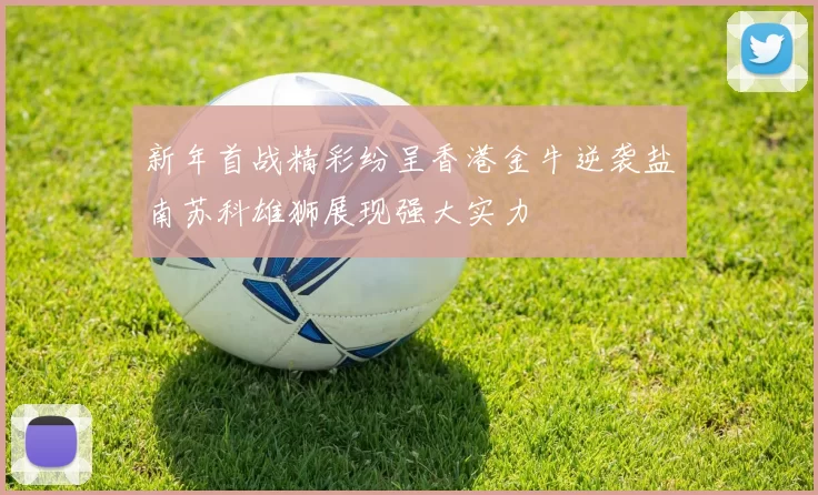 新年首战精彩纷呈香港金牛逆袭盐南苏科雄狮展现强大实力