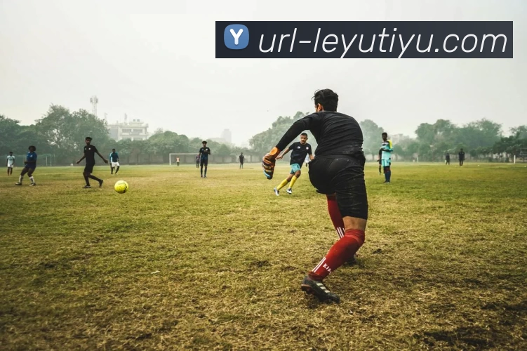 乐鱼体育发展历程