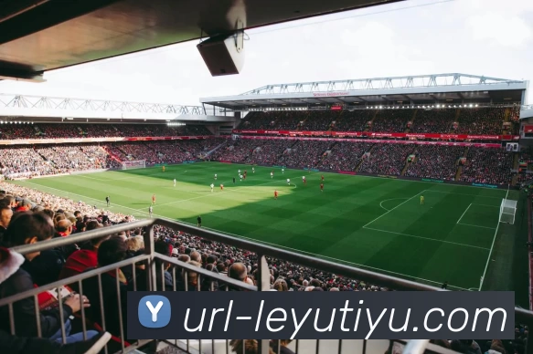 詹宁斯高尔夫赛事盛况空前韦德皮尔斯阿里纳斯等明星齐聚助阵