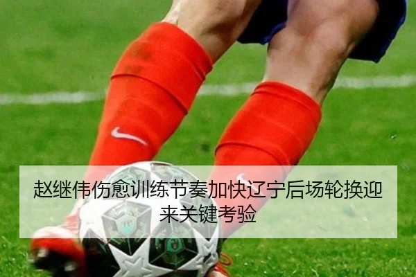 赵继伟伤愈训练节奏加快辽宁后场轮换迎来关键考验 | leyu